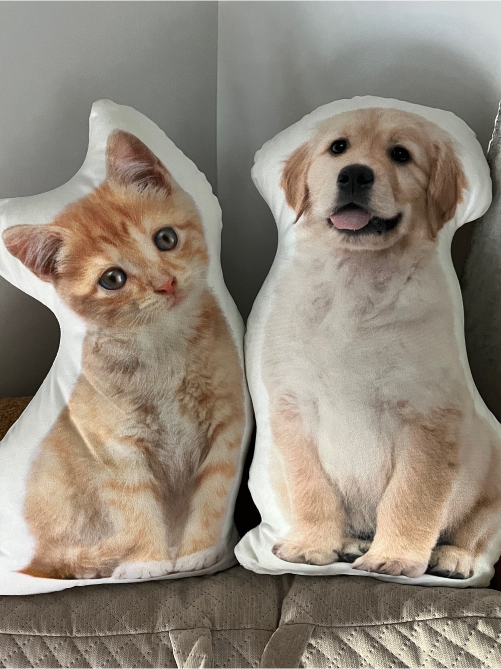 Cat & Dog Plush Pillow Duo